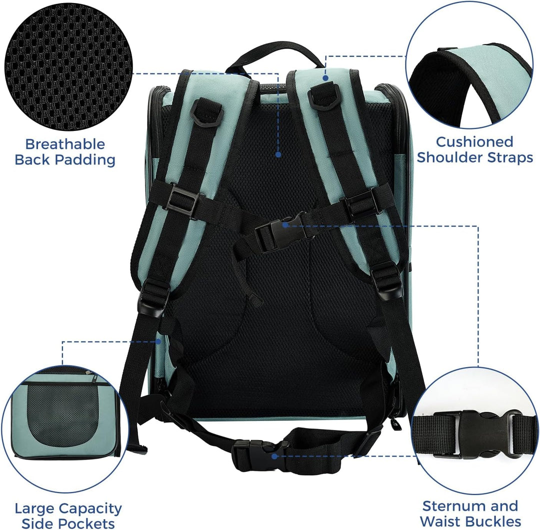 APOLLO WALKER Pet Carrier Rucksack für kleine Katzen und Hunde, Welpen, zweiseitiger Eingang, Sicher