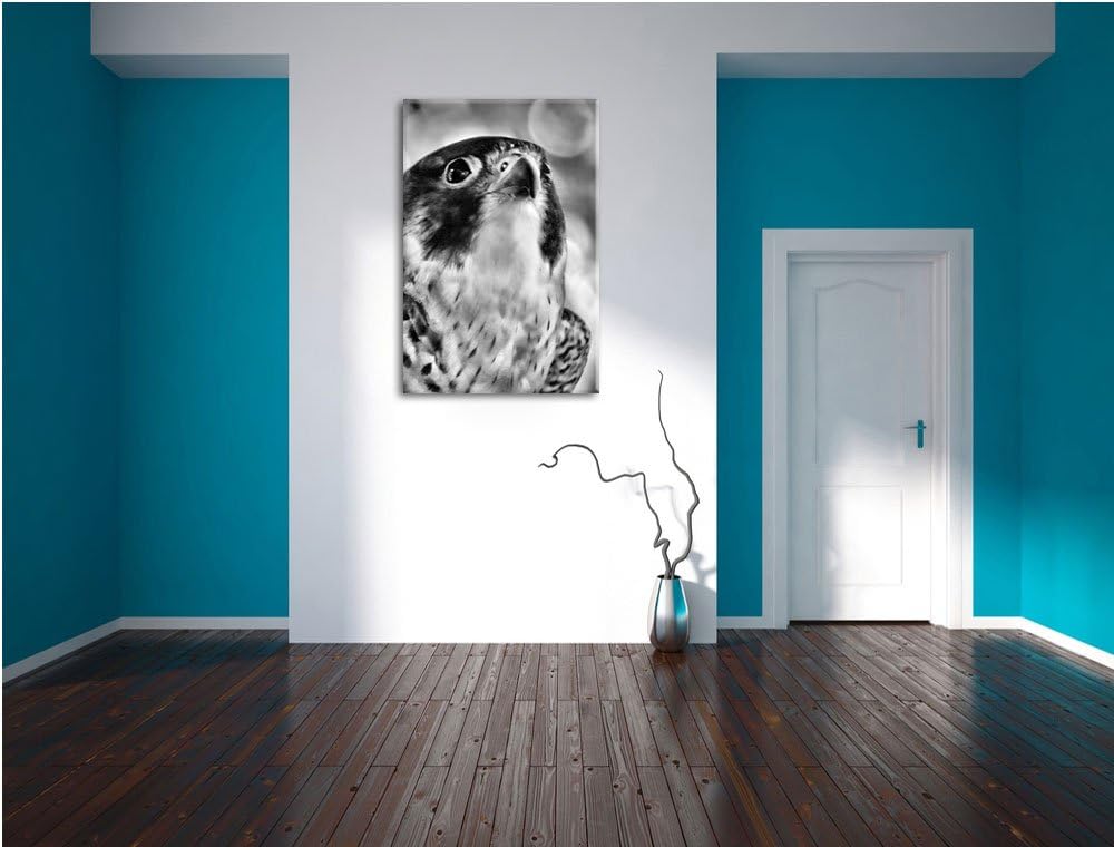Pixxprint schöner Grauer Adler als Leinwandbild/Grösse: 100x70 cm/Wandbild/Kunstdruck/fertig bespann