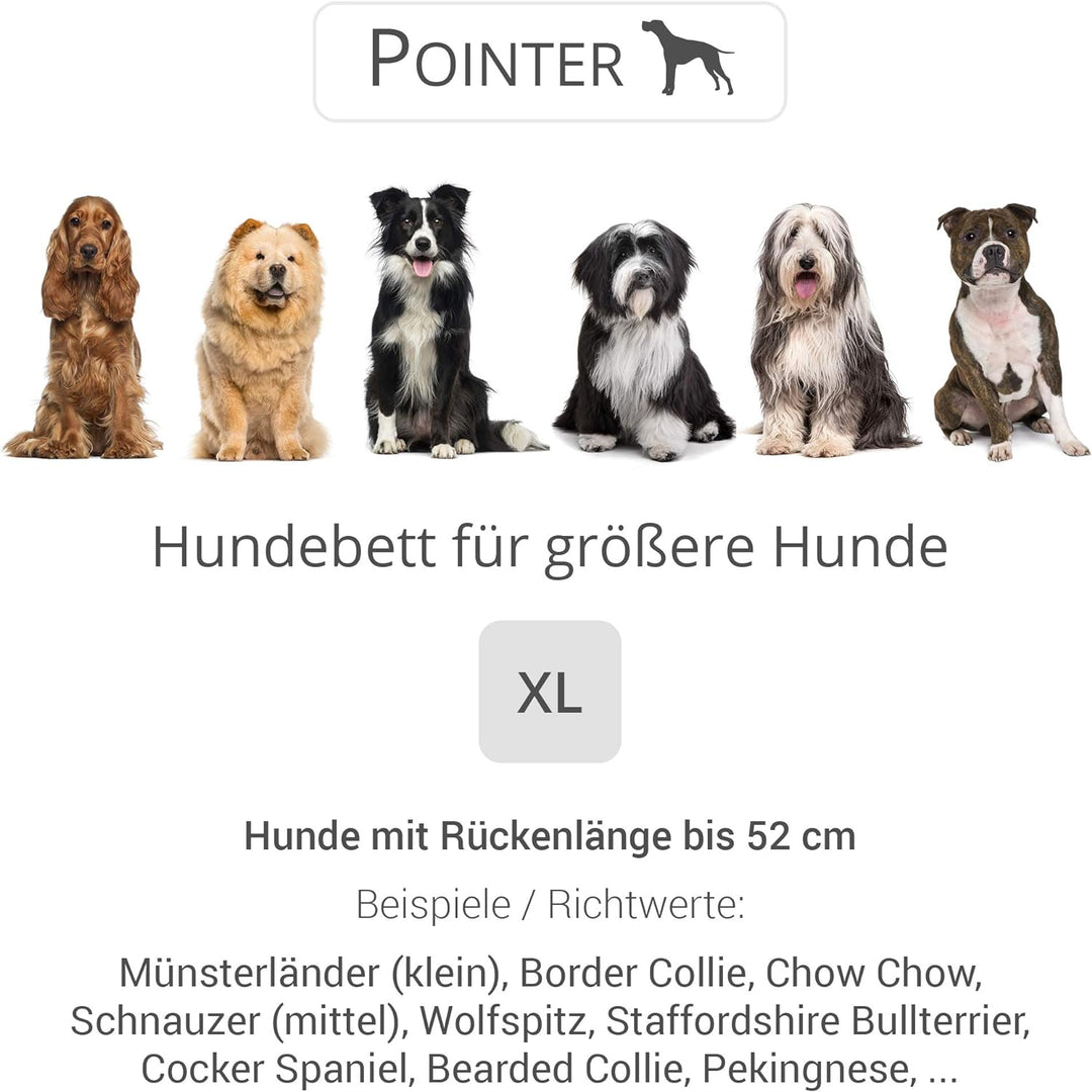 Doctor Bark Pointer | Hundebett mit Hundekissen - orthopädisch, waschbar, bequem (XL - 90x80 cm, Ant