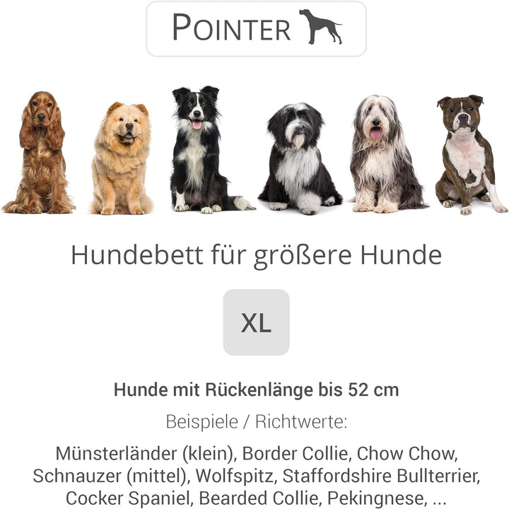 Doctor Bark Pointer | Hundebett mit Hundekissen - orthopädisch, waschbar, bequem (XL - 90x80 cm, Ant