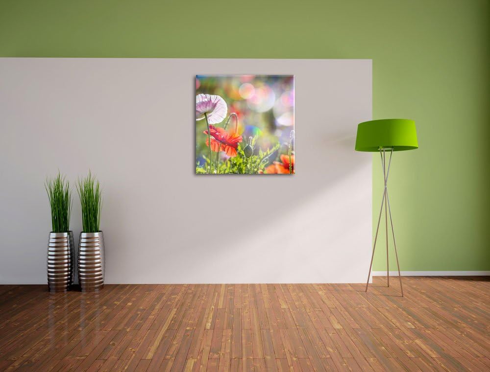 Pixxprint Kalifornischer Mohn im Frühling, Format: 70x70 auf Leinwand, 70x70