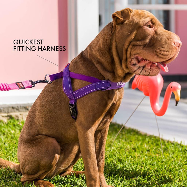 EzyDog 5708214206069 Quick Fit Geschirr Blaze, L, orange Orange L, Orange L