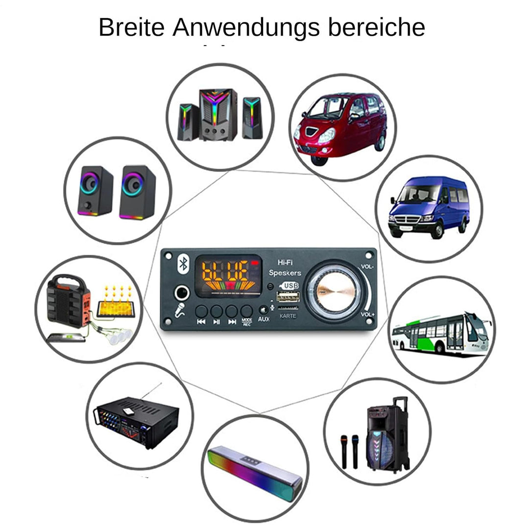 Audio Verstärker Platine,MP3-Decodermodul | 2x80W Decodier Chip Für Auto Broadcast Aufnahmefunktion