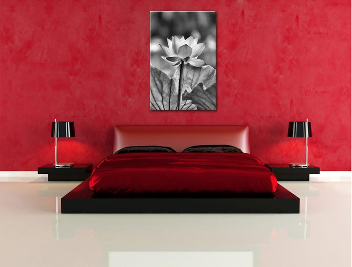 Pixxprint Zarte rosafarbener Lotus als Leinwandbild/Grösse: 100x70 / Wandbild/Kunstdruck/fertig besp
