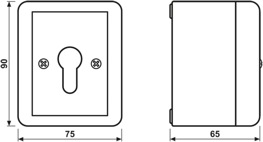 Jung SCHLUESSEL-SCHALTER 10A250V 806.28 G