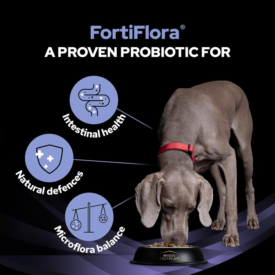 Pro Plan Vet Canine Fortiflora PROBIOTICO, Schnürsenkel 30 x 1 g