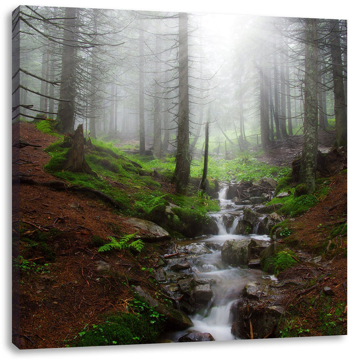 Pixxprint Bach im Wald, Format: 70x70 auf Leinwand, XXL riesige Bilder fertig gerahmt mit Keilrahmen