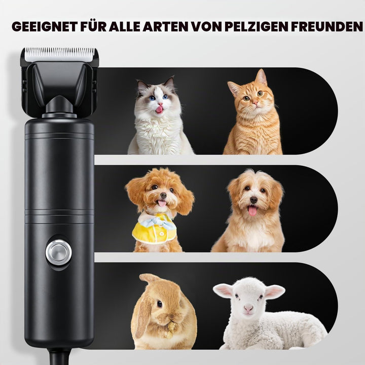 CGOLDENWALL 300W Hundeschermaschine Profi, 2000-6600U/min Stufenlose Geschw.,, Schwarz