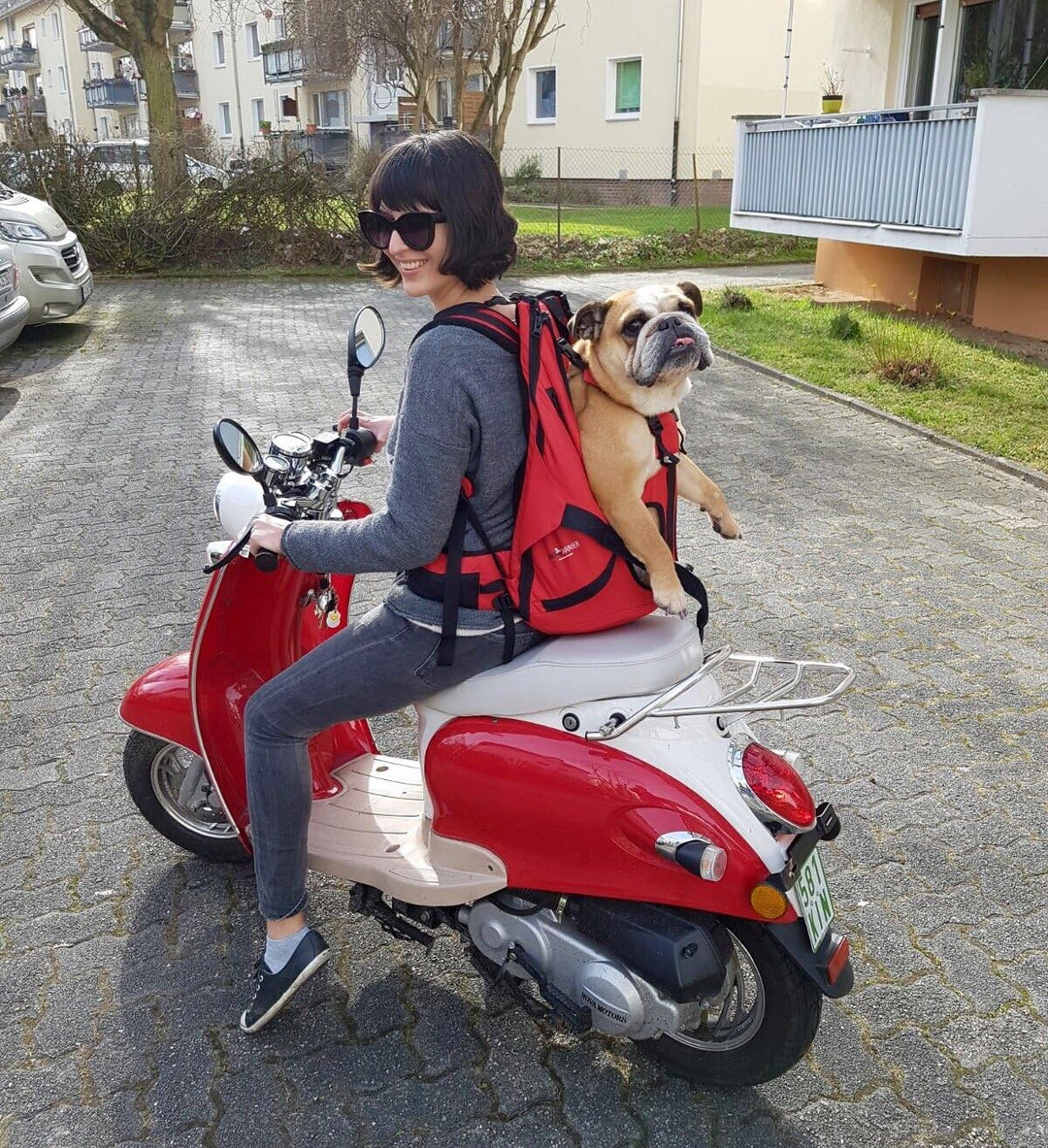 Small PREMIUM Hundetasche als Hunderucksack / Rucksack für Hunde / Hundetrage / Hundetragetasche / H