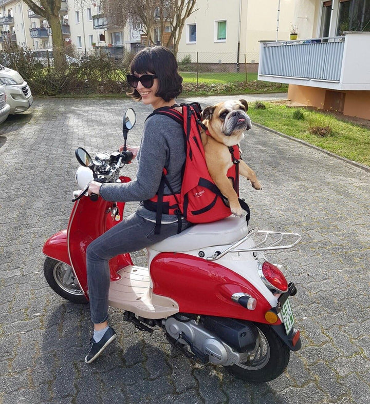 Small PREMIUM Hundetasche als Hunderucksack / Rucksack für Hunde / Hundetrage / Hundetragetasche / H