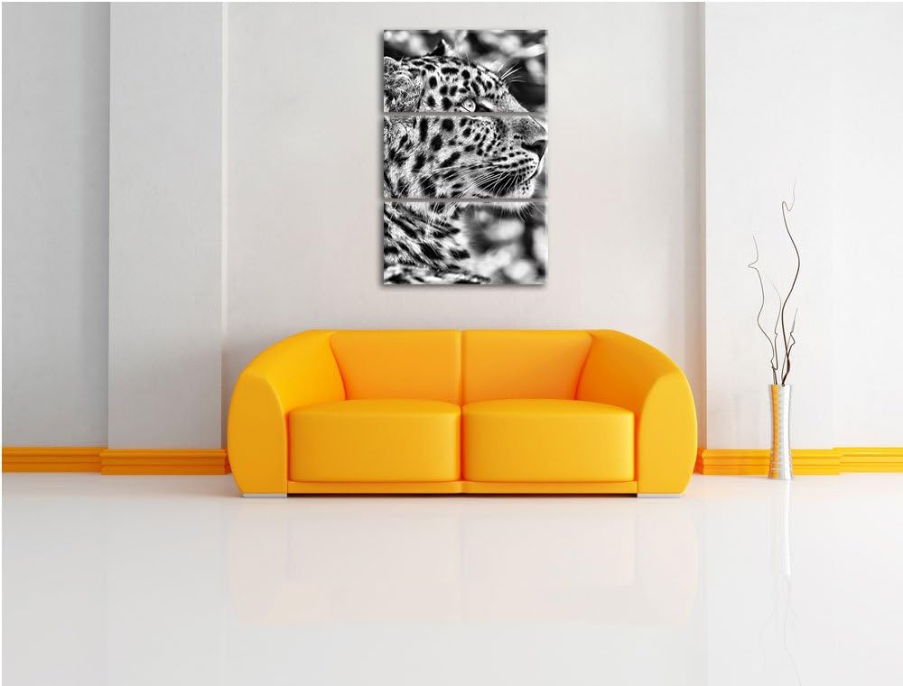 Pixxprint prächtiger Leopard im Schatten als Leinwandbild/Grösse: 3 Teilig (120x80) cm/Wandbild/Kuns