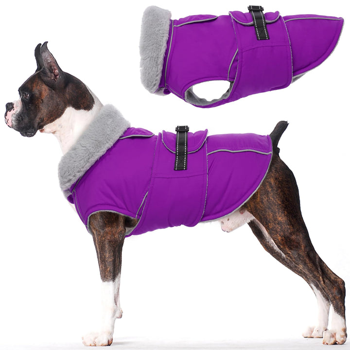 Lelepet Winter Hundemantel, Wasserdichter Wintermantel für Kleine Hunde, Warme Hundejacke mit Fleece