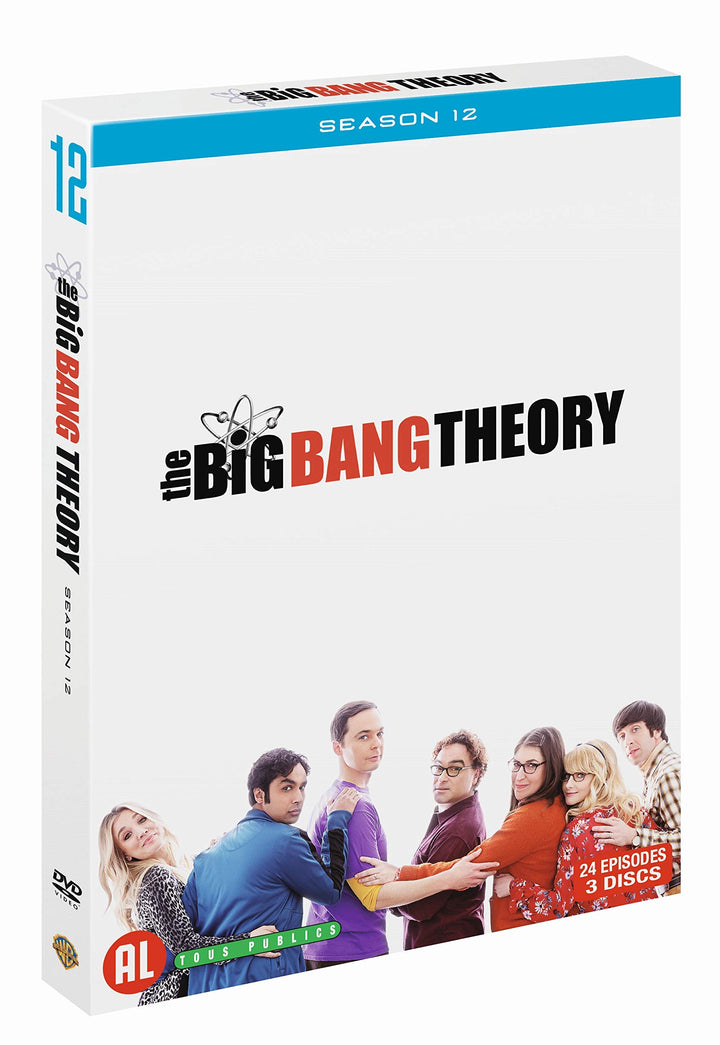 Coffret the big bang theory , saison 12, 24 épisodes [FR Import], DVD
