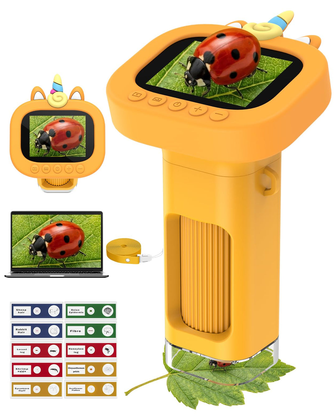 1000X Mikroskop für Kinder Taschenmikroskop Digital: 4K Handmikroskop für Kinder mit 2.4" Bildschirm