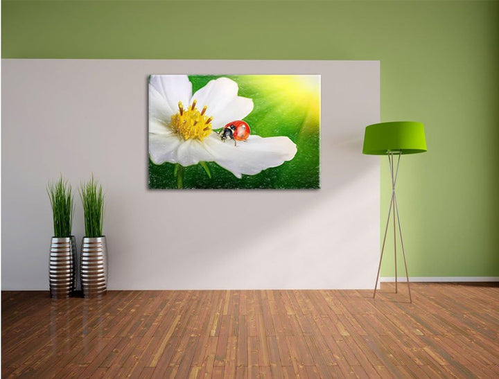 Pixxprint Marienkäfer auf Einer weissen Blume als Leinwandbild/Grösse: 100x70 / Wandbild/Kunstdruck/