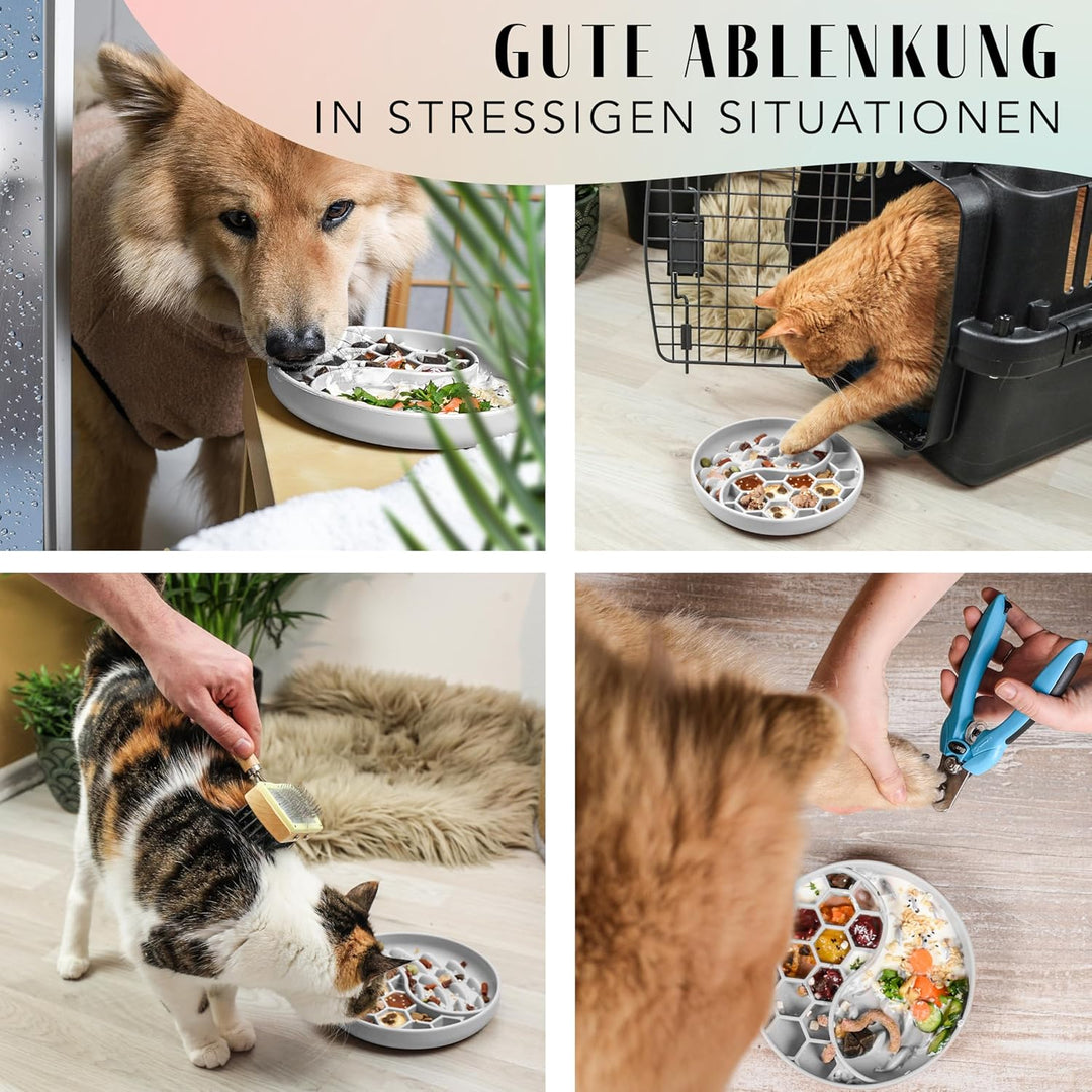 ne&no® Anti Schling Napf für Hunde und Katzen I Slow Feeder I Leckmatte Hund mit grossem Saugnapf I