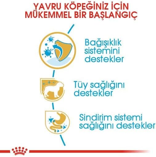 ROYAL CANIN Pudel Junior 3 kg, 1er Pack (1 x 3 kg)