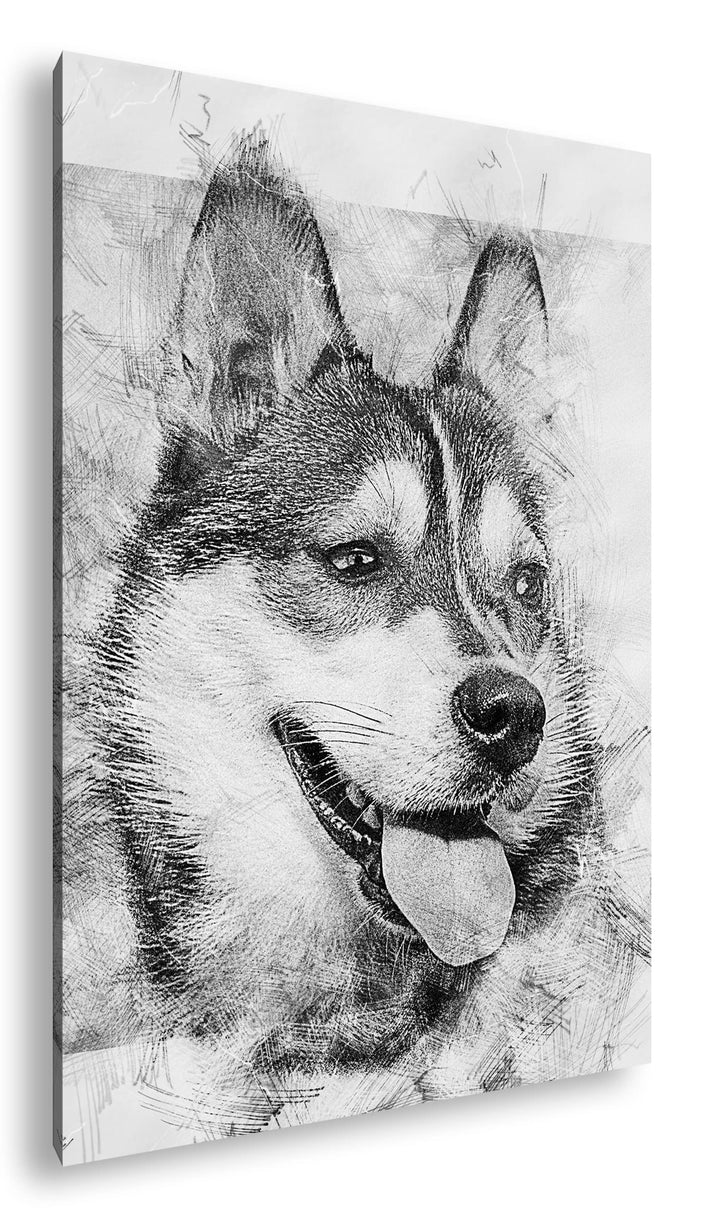 deyoli friedlicher Hund Effekt: Schwarz&Weiss Format: 80x60 als Leinwandbild, Motiv fertig gerahmt a