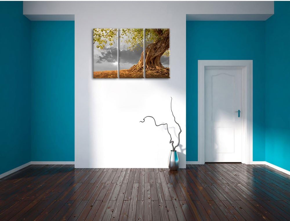 Pixxprint Baum als Leinwandbild/Grösse: 3 Teilig (120x80 cm) cm/Wandbild/Kunstdruck/fertig bespannt