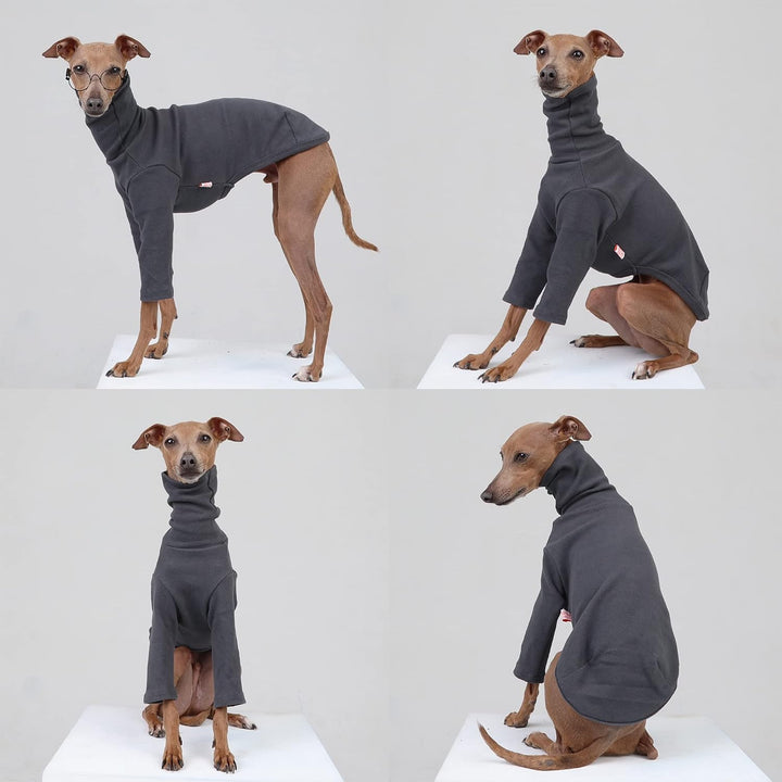 D Doggy Star Italienische Windhunde, flexible T-Shirts für Hunde, Grösse S, Dunkelgrau, Dunkelgrau S