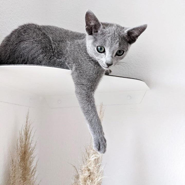 LucyBalu® Corner Katzenliege &amp; Kletterstufe mit Filzauflage für Wandecken | Wandliege für Katzen | K