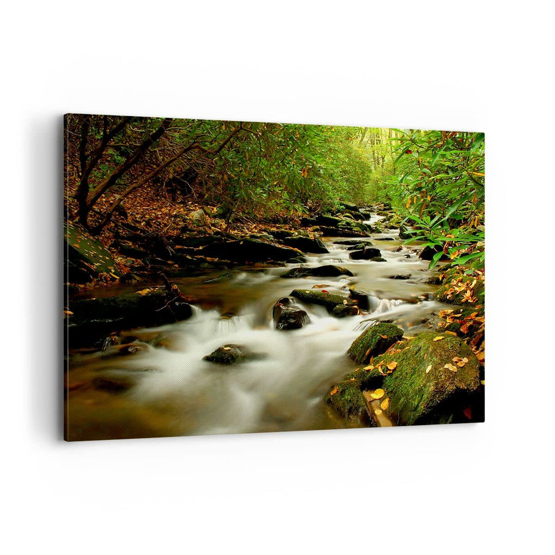 Bilder auf Leinwand 100x70cm Leinwandbild mit Rahmen Bäume Strom Felsen Gross Wanddeko Bild Schlafzi