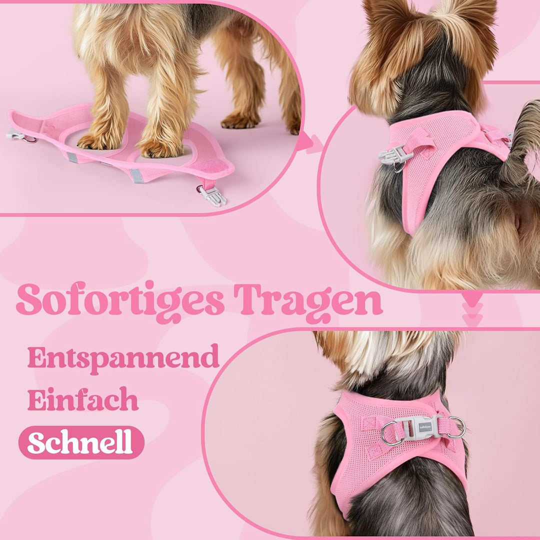 rabbitgoo Hundegeschirr Kleine Hunde, Step-in Welpengeschirr Weich Mesh für Spaziergänge, Atmungsakt