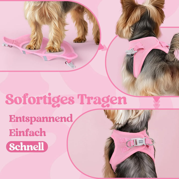 rabbitgoo Hundegeschirr Kleine Hunde, Step-in Welpengeschirr Weich Mesh für Spaziergänge, Atmungsakt
