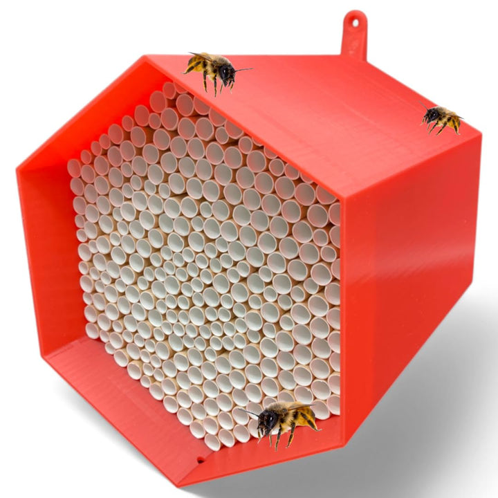 Wildbienen-Nisthilfe – absolut haltbar &amp; wetterfest. Insektenhotel mit 300 Nisthülsen. Hochwertiges