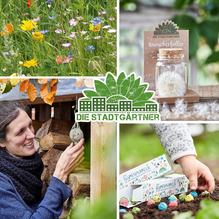 Die Stadtgärtner – Bienchenhotel aus Buchenholz I Wetterfestes Insektenhotel für Bienen I Naturholz-