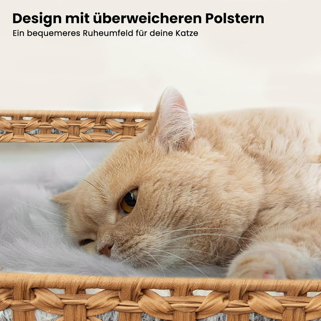 Katzenklo: Versteckte Katzentoilette aus Rattan in Möbeloptik mit auslaufsicherer Katzenklo-Matte fü