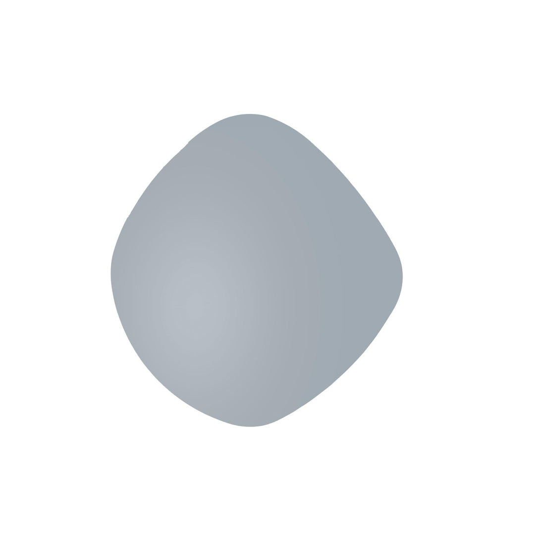 Present Time Mirror Organic Round Dark Grey 40 x 40 x 1,5cm