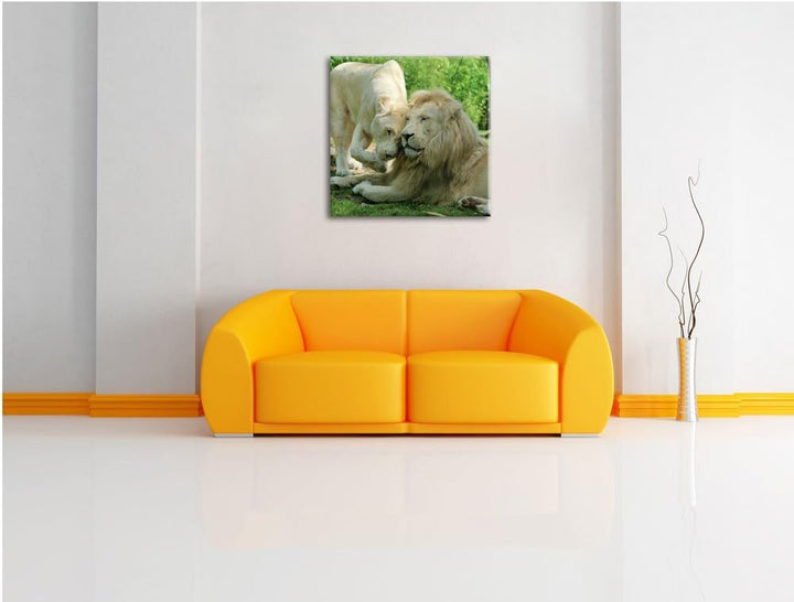 verliebtes Löwenpaar, Format: 70x70 auf Leinwand, XXL riesige Bilder fertig gerahmt mit Keilrahmen,