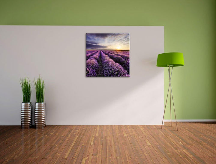 Pixxprint Traumhafte Lavendel Provence als Leinwandbild/Grösse: 70x70 cm/Wandbild/Kunstdruck/fertig