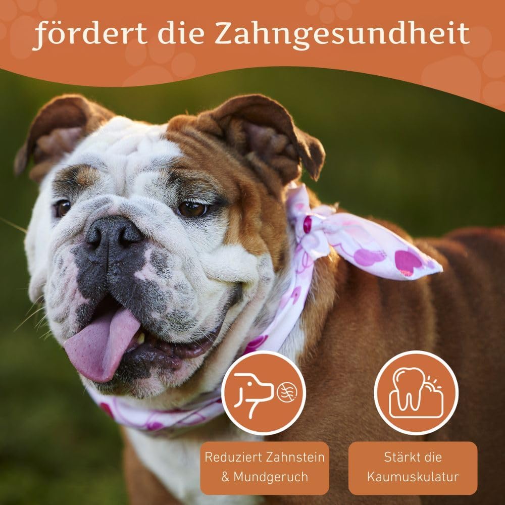 Wildfang® 3 Kauwurzel Hund (Grösse M) – Natürliches Kauholz aus Baumheide – Langlebiges & splitterfr