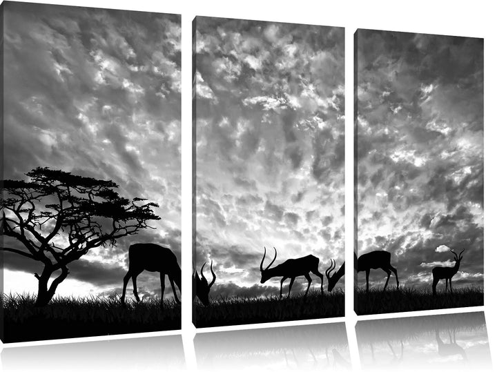 Pixxprint Tiere in der Natur / 3-Teilig/Gesamtmass 120cm Leinwandbild bespannt auf Holzrahmen/Wandbi