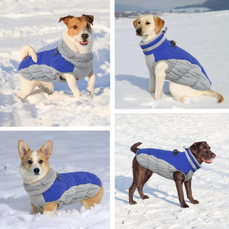 Hjumarayan Hundemantel für Kleine Hunde - Hundemantel Winter Hundemantel mit Geschirr Wintermantel H