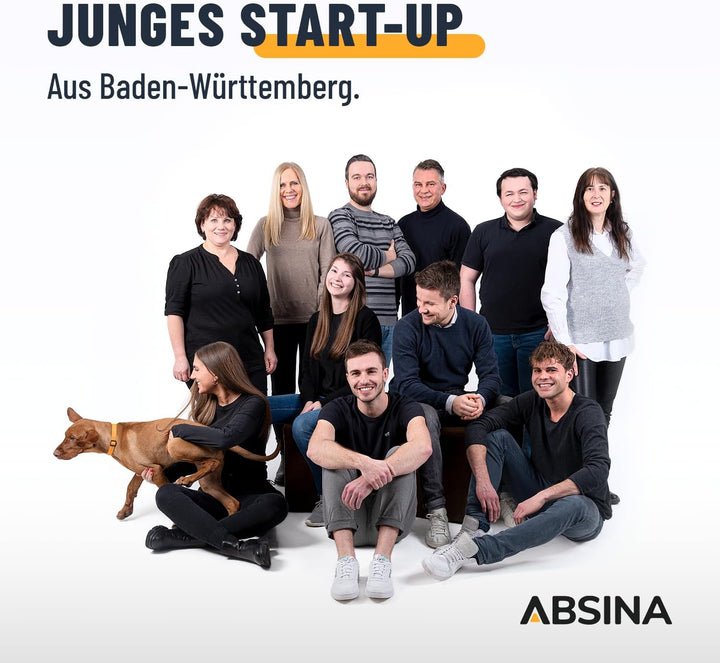 ABSINA Akku Ladegerät X10 für AA, AAA &amp; 9V - Akkuladegerät 10-Fach zum Laden von wiederaufladbaren A