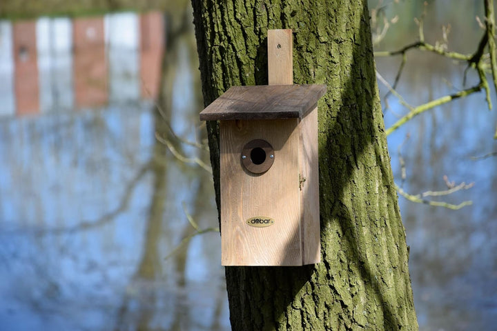 dobar® 22419e Nistkasten Einblick - Nisthöhle für Wildvögel - Höhlenbrüter-Nistkasten Massivholz - P