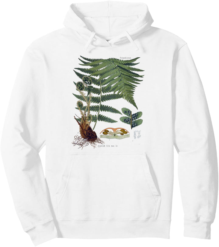Farn Botanische Pflanzen Botanik Pullover Hoodie