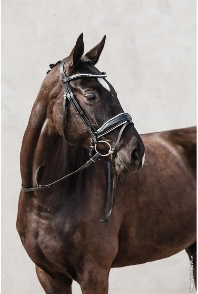 Schockemöhle Malibu Anatomic Snaffle Bridle Schwarz Full Size, Schwarz Full Size