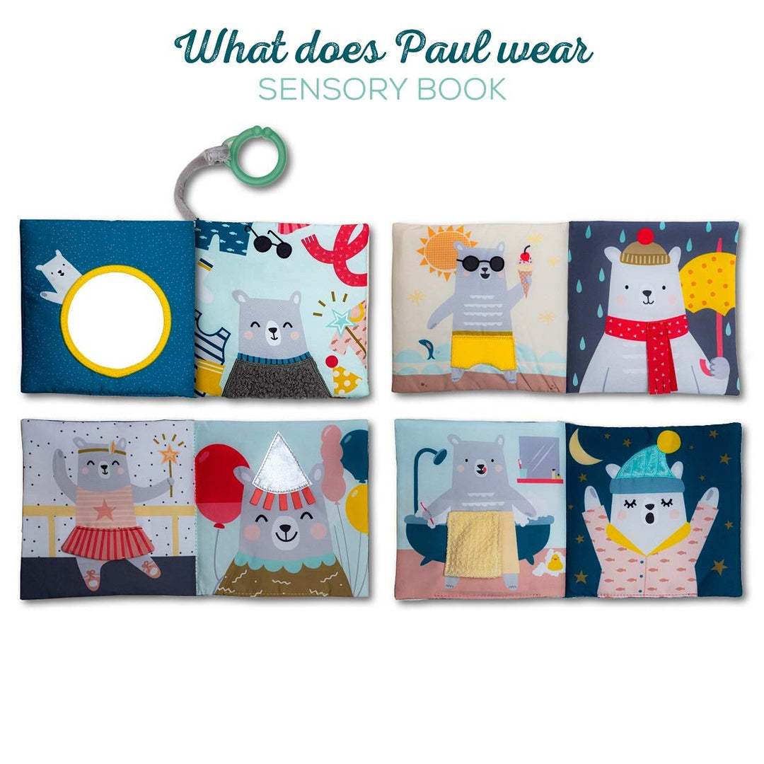 Taf Toys 12605 Paul Bear Buch, grau, 110 g Bär Paul, Bär Paul