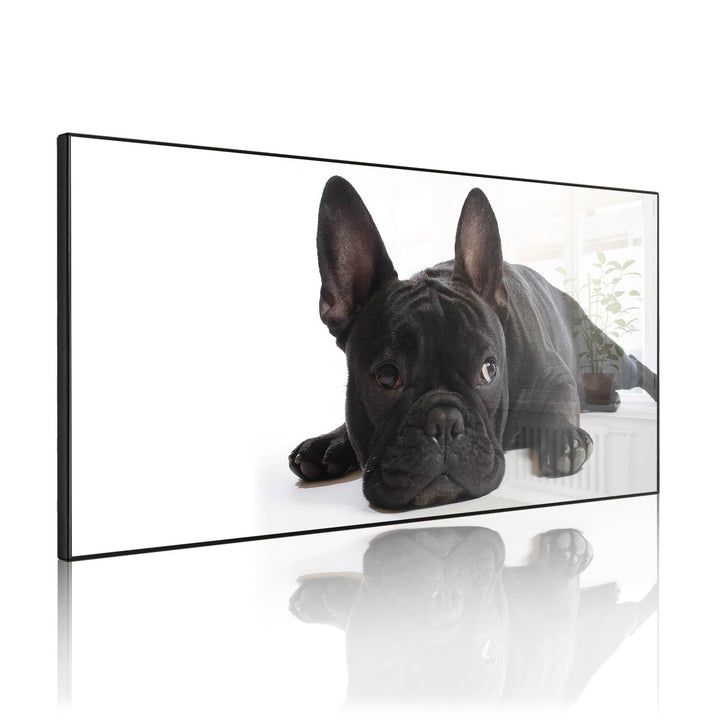 banjado Magnettafel schwarz 78 x 37cm / Magnetwand Metall/Magnetpinnwand als Memoboard/Pinnwand Magn