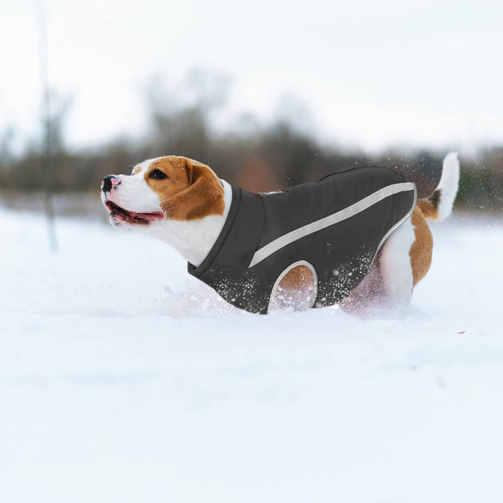 Idepet Wasserdichter Hundemantel Winter Warme Jacke, Winddichte Haustierkleidung Hundejacke Outfit f