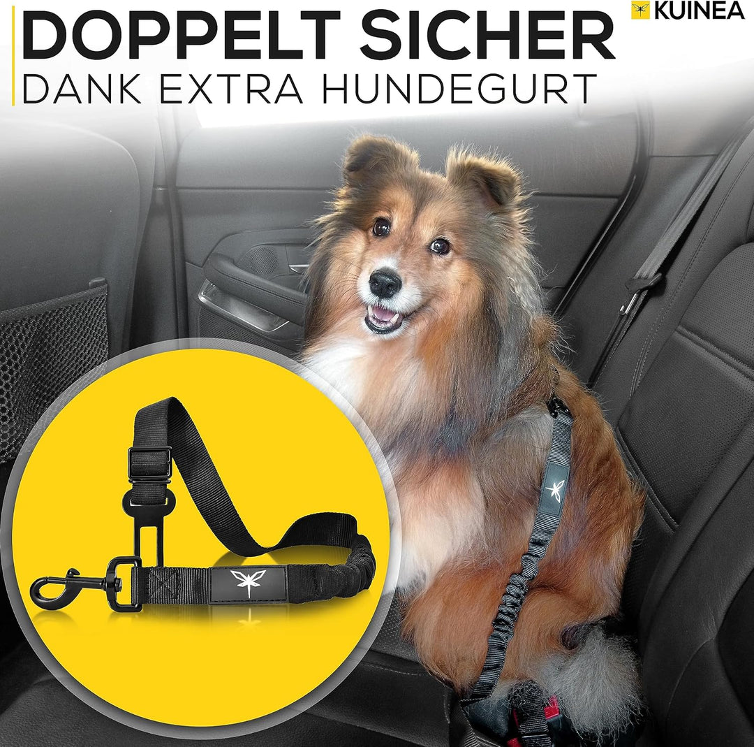 KUINEA Hundesitz Auto Rückbank mit GRATIS Hundegurt für Auto - für kleine bis mittelgrosse Hunde - P