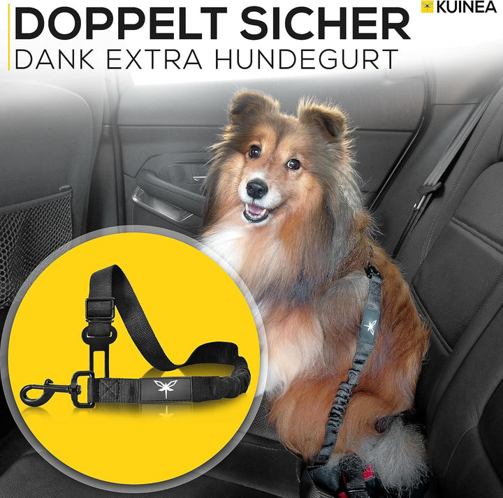 KUINEA Hundesitz Auto Rückbank mit GRATIS Hundegurt für Auto - für kleine bis mittelgrosse Hunde - P