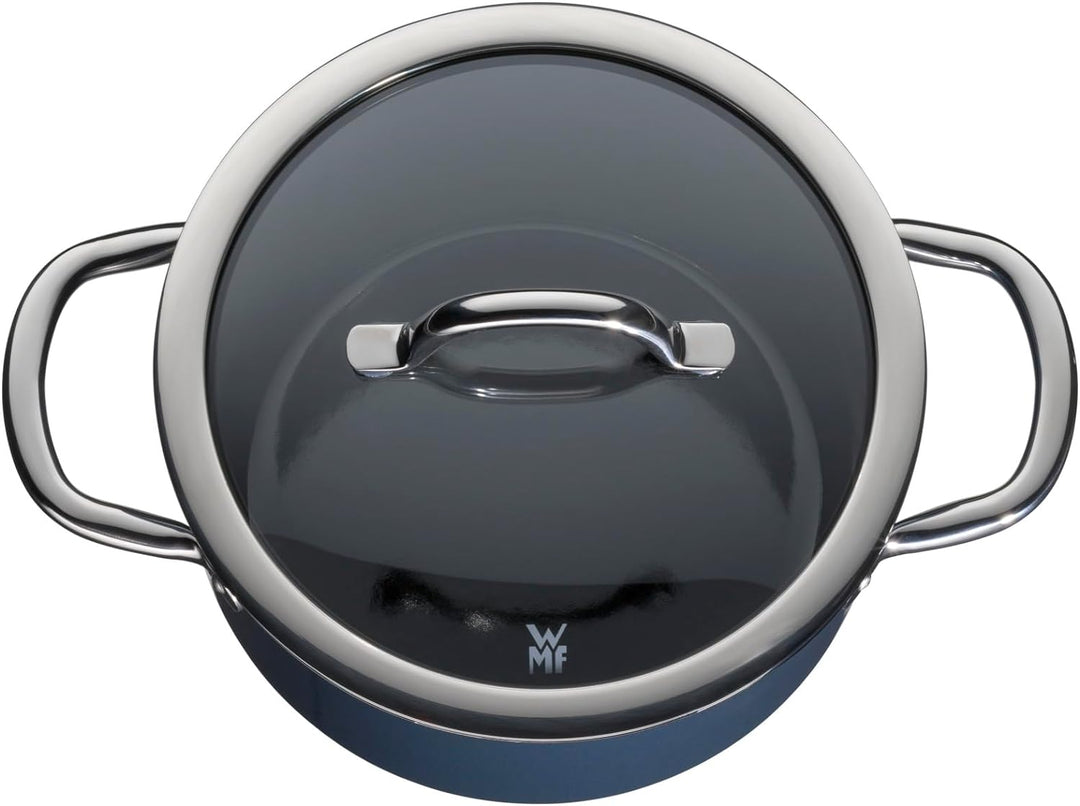 WMF Fusiontec Inspire Kochtopf gross, 20 cm, Glasdeckel, Fleischtopf Induktion, 3,7l, High-Tech Kera