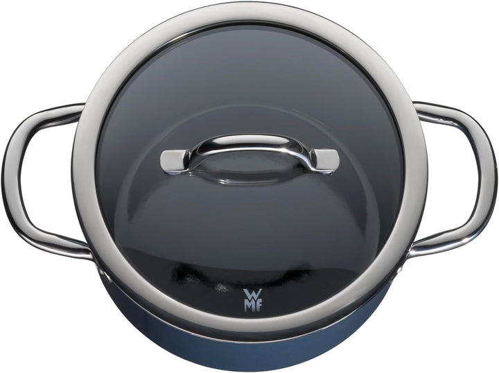 WMF Fusiontec Inspire Kochtopf gross, 20 cm, Glasdeckel, Fleischtopf Induktion, 3,7l, High-Tech Kera