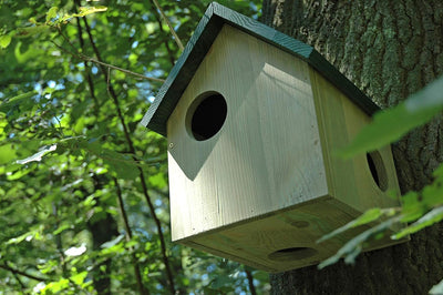 dobar® 22221 Eichhörnchenkobel - Eichhörnchenhaus aus Massivholz - Futterhaus für Eichhörnchen - Eic