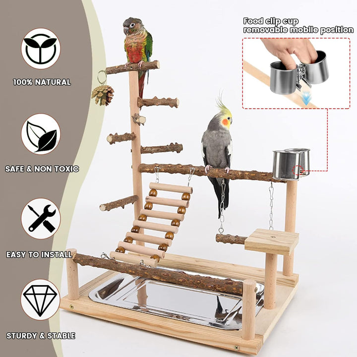 WishesMar Wellensittich Spielplatz Vogel-Spielplatz mit Feeder-Cup Spielzeug Leiter Erklimmen Schauk